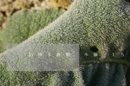 信用卡逾期 小额 150天 信用卡逾期 小额 150天